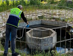 Süleymanpaşa’da haşereyle mücadele sürüyor