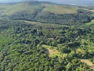 Sultanbeyli’de dron destekli orman denetimi; 513 kişiye 1,9 milyon lira ceza