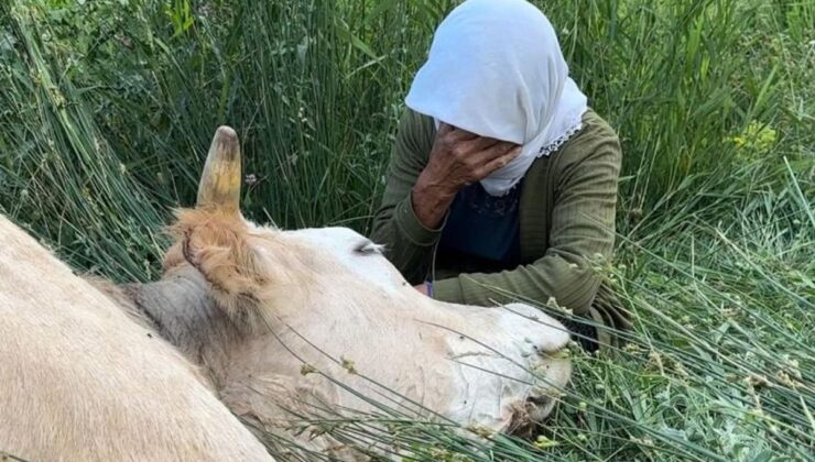 Türkiye’nin gündemine oturan teyzenin yüzünü güldürdüler