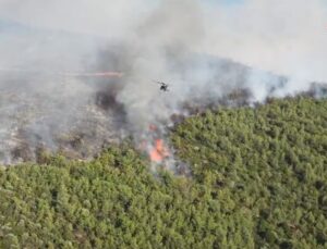 Yunanistan’daki orman yangınlarında üç itfaiyeci hayatını kaybetti