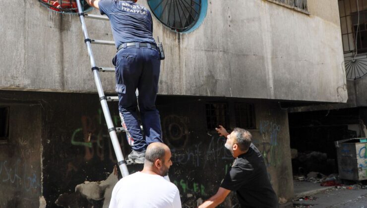 Antalya’da Metruk Binada Yangın: Balkon Filesine Takılan Kedi İtfaiye Tarafından Kurtarıldı