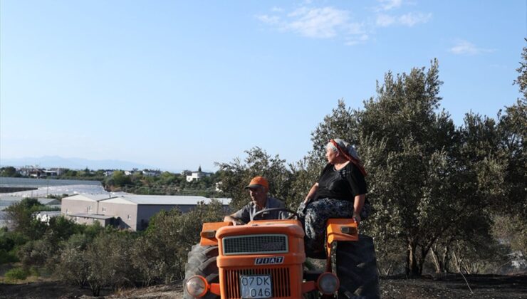 Antalya’da yangın: Zirai alandan ormana sıçradı, kontrol altında