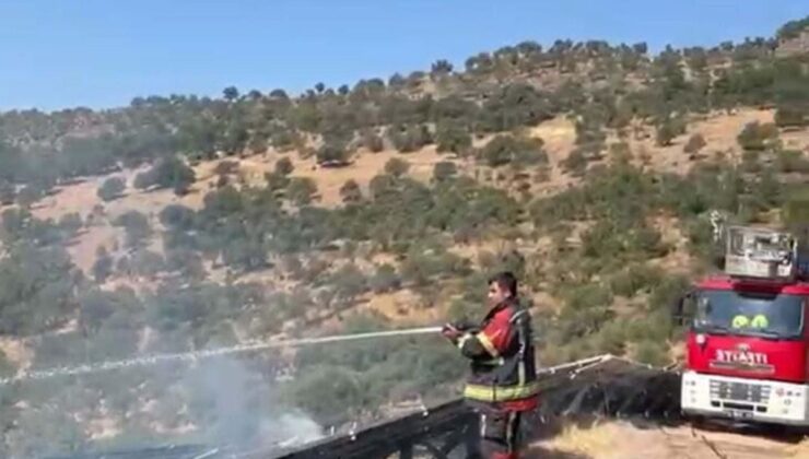 Ayvalık’ta Orman Yangını 1,5 Saatte Söndürüldü