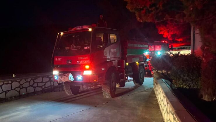 Bilecik’te orman yangını kontrol altına alındı