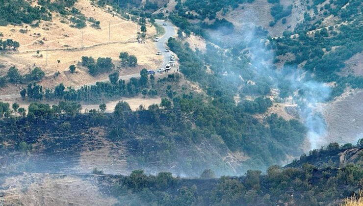 Bitlis’te örtü yangını söndürüldü: 40 hektar zarar gördü