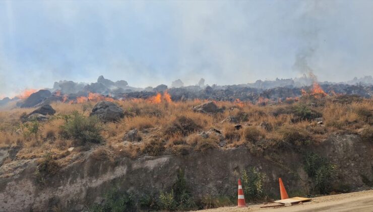 Bodrum’da otluk yangını söndürüldü
