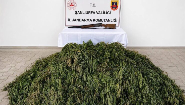 Bozova’da Uyuşturucu Operasyonu: 1 Gözaltı