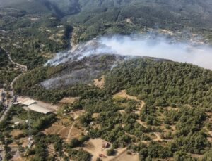 Bursa’da 3 Ayrı Noktada Orman Yangını