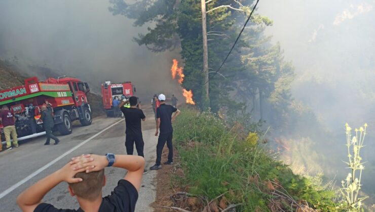 Bursa’da orman yangını 2 saatte kontrol altına alındı