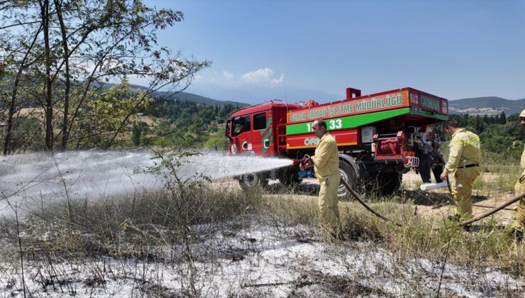 Bursa’da orman yangını kontrol altına alındı