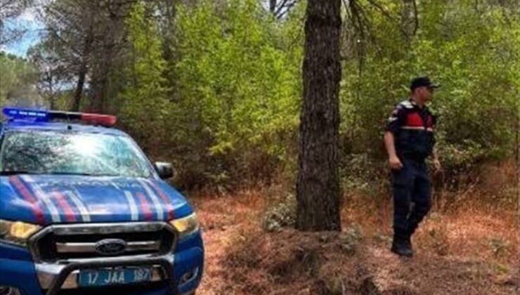 Çanakkale’de 44 orman yangını: 541 bin hektar kül oldu