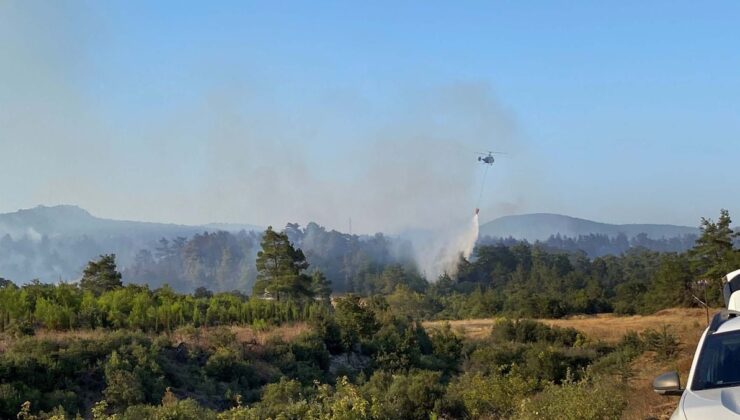Çanakkale’de orman yangını