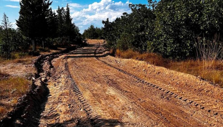 Edirne’de orman yangınlarına karşı yol seferberliği