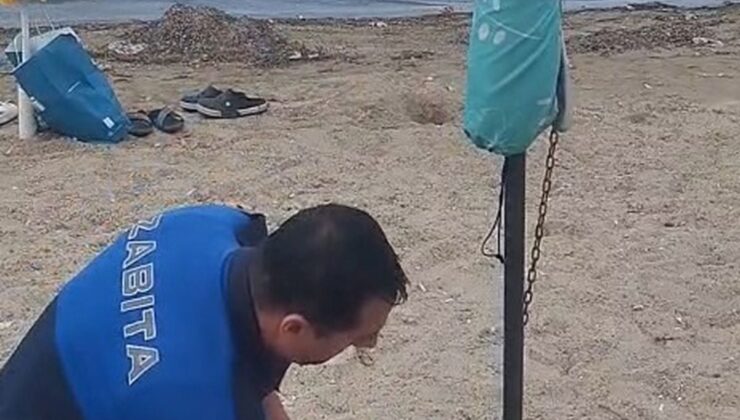 Erdek’te Sahil İşgaline Zabıta Engeli: Zincirler Kesildi, Cezalar Kesildi