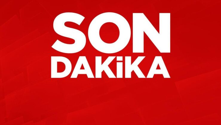Eski Bakan Denizolgun’un ölümünde yeni bilirkişi raporu: Yastıkla boğulmuş olabilir