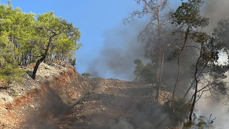 Fethiye’de kamyonetten ormana sıçrayan yangın söndürüldü