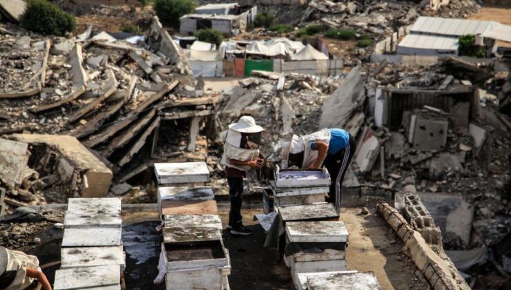Gazze’de Filistinli arıcı, yıkıma rağmen üretimi sürdürüyor