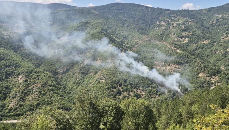 Gerze’de Orman Yangını Kontrol Altında