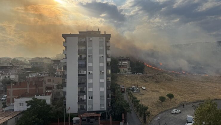 İzmir’de Otluk Yangını Kontrol Altına Alınmaya Çalışılıyor
