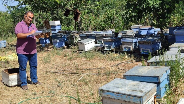 Keşan’da Kapsamlı Tarım ve Gıda Denetimleri