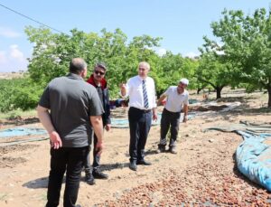 Malatya’da Sel ve Taşkın: Tarım Arazileri ve Kayısılar Zarar Gördü