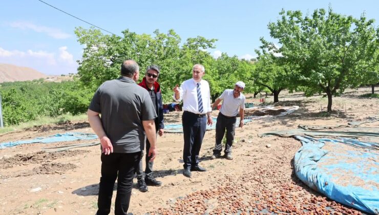 Malatya’da Sel ve Taşkın: Tarım Arazileri ve Kayısılar Zarar Gördü