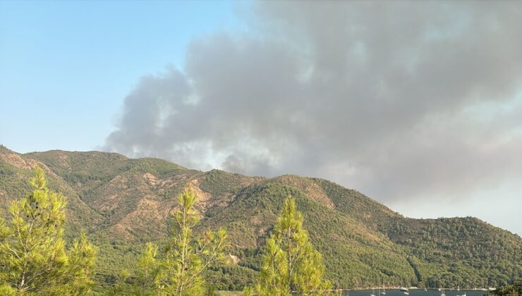Marmaris’te çıkan orman yangınına müdahale ediliyor