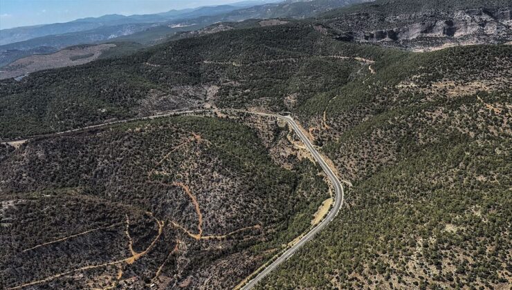 Mersin’de yanan ormanlık alan havadan görüntülendi