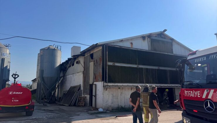 Mudanya’da tavuk çiftliğinde yangın: 12 bin tavuk telef oldu