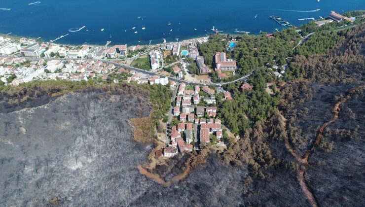 Muğla’nın Yanan Ormanları 5 Yılda Yeniden Yeşerdi