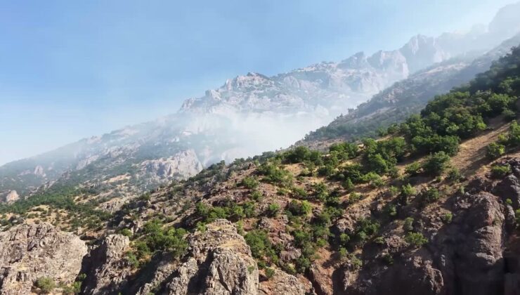 Munzur Vadisi Milli Parkı’nda yangın: Ekiplerin müdahalesi sürüyor