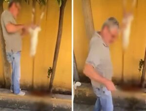 Okul bahçesinde tavşan kestiği görüntüler sanal medyada paylaşılan şüpheli gözaltına alındı