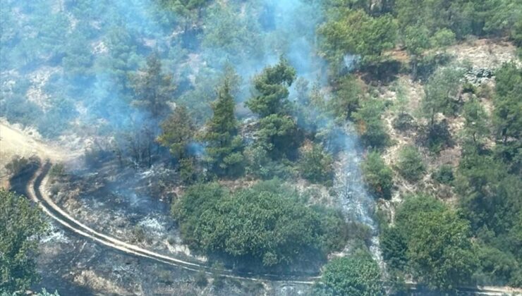 Osmaneli’nde Tarım Arazisinde Yangın Kontrol Altına Alındı
