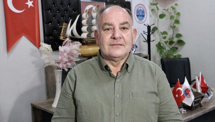 Sakarya’da sahipsiz köpeklerin toplatılması şikayetleri azalttı