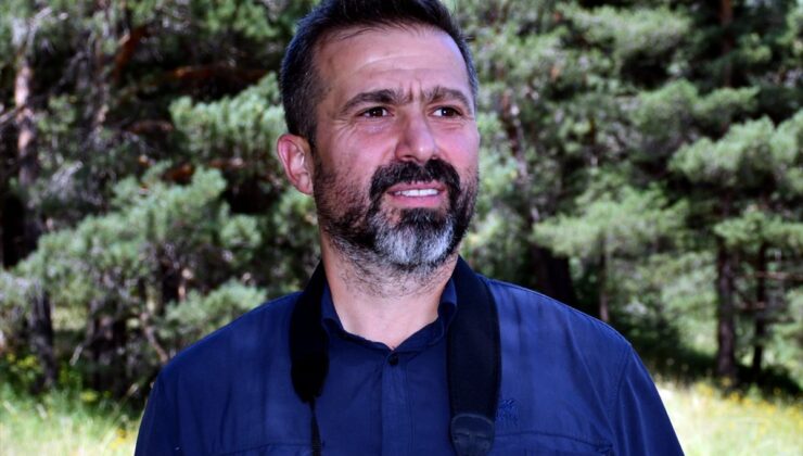 Sarıkamış’ta Apollo Kelebeği Büyüledi