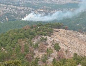 Silifke ve Anamur’da Yıldırım Kaynaklı Orman Yangınları Kontrol Altında