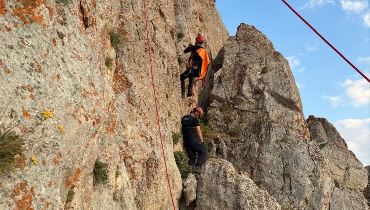 Şırnak’ta kayalıklarda mahsur kalan 4 keçi kurtarıldı