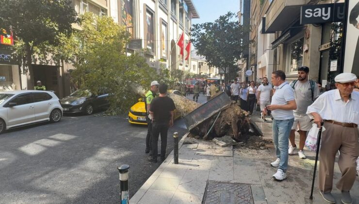 Şişli’de Devrilen Ağaç Park Halindeki 2 Araca Zarar Verdi