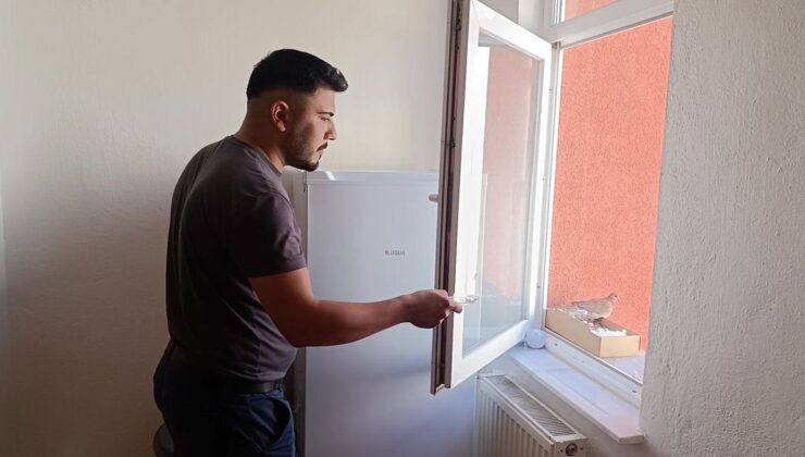 Sivas’ta Gençten Kumruya Duyarlı Destek: Emanete Sahip Çıktı