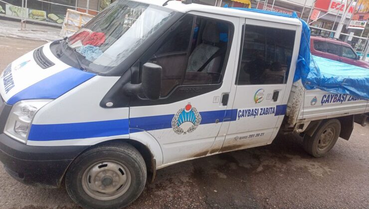 Sokak hayvanları olayında ‘itibar suikastı’ iddiası
