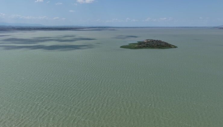 Uluabat Gölü’nde Alg Patlaması: Ekolojik Tehlike Büyüyor
