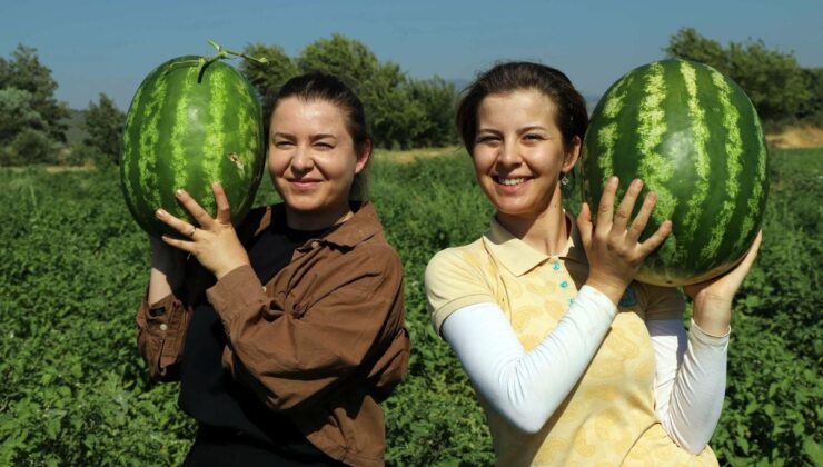 Üniversiteli Kız Kardeşler Ata Toprağında Çiftçi Oldu