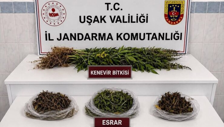 Uşak’ta Uyuşturucu ve Kaçak Tütün Operasyonu: 2 Gözaltı