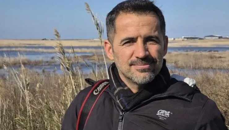 Yapay Işıklar Deniz Kaplumbağalarının Yönünü Şaşırtıyor: Uzmanlardan Sürücülere Çağrı