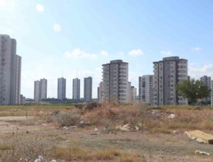 Adana’da cırcır böceği çilesi! 100 desibellik ses vatandaşları geceleri uyutmuyor