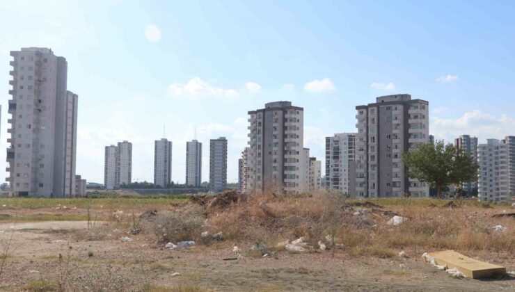Adana’da cırcır böceği çilesi! 100 desibellik ses vatandaşları geceleri uyutmuyor