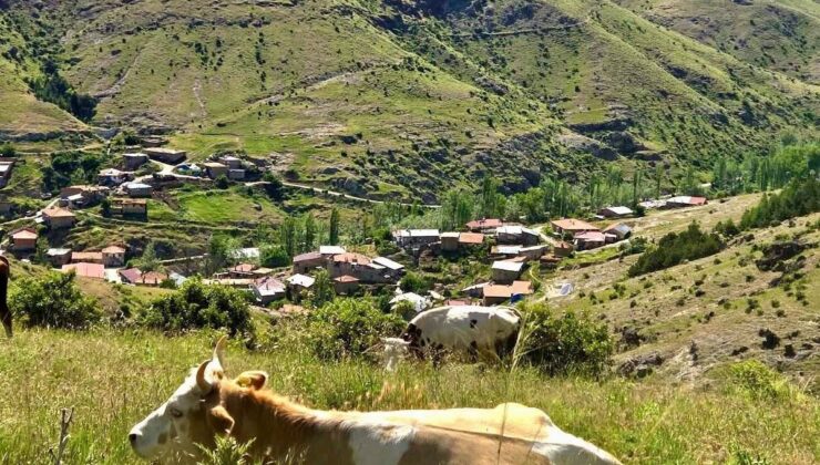 Afyonkarahisar’da Tarım ve Orman İl Müdürlüğü üreticilere saha ziyareti yaptı