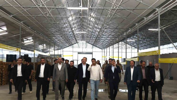Ağrı Valisi Bozkurt, Diyadin Jeotermal Sera OSB’deki çalışmaları yerinde inceledi