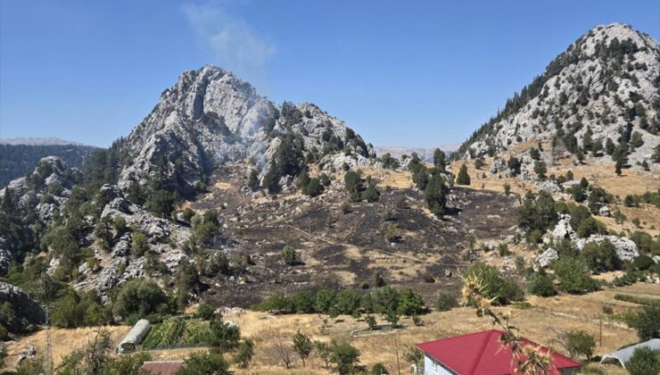 Alanya’da zirai yangın kontrol altında