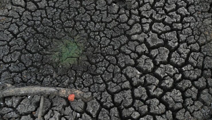 Albüm: Sri Lanka’da El Nino kaynaklı kuraklık 115.000’den fazla kişiyi olumsuz etkiledi